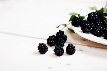 mulberry